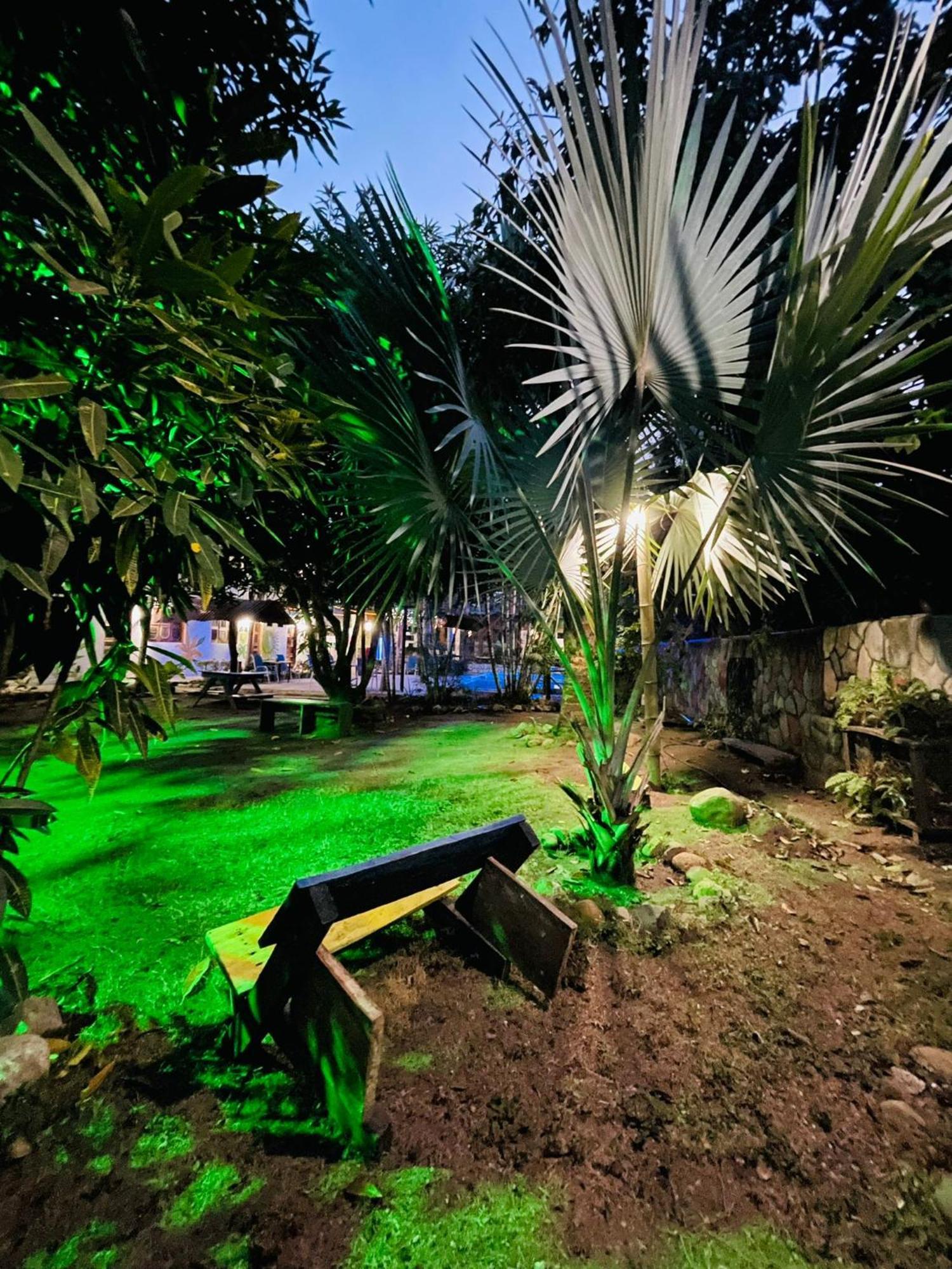 Hostal Luz De Luna Palomino Exteriör bild
